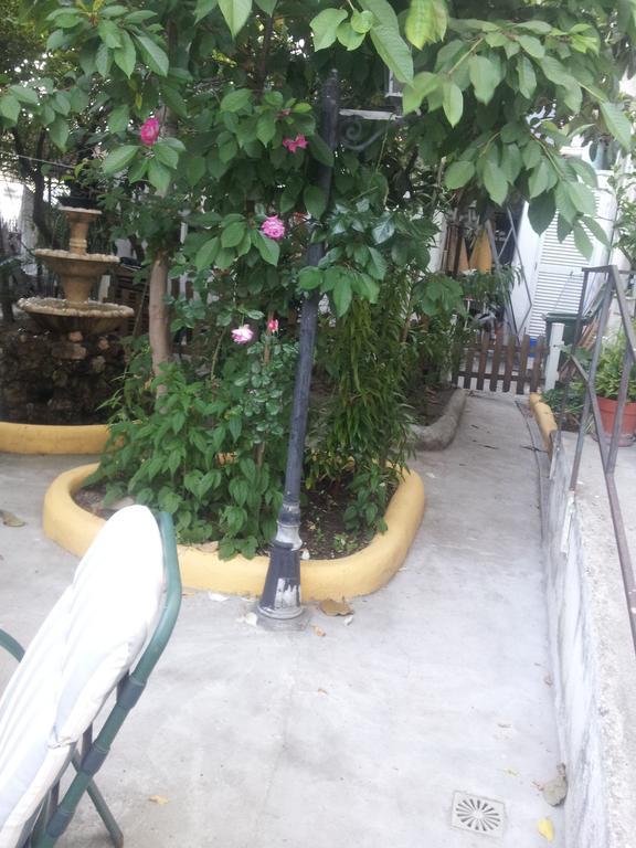 Guest house Mana